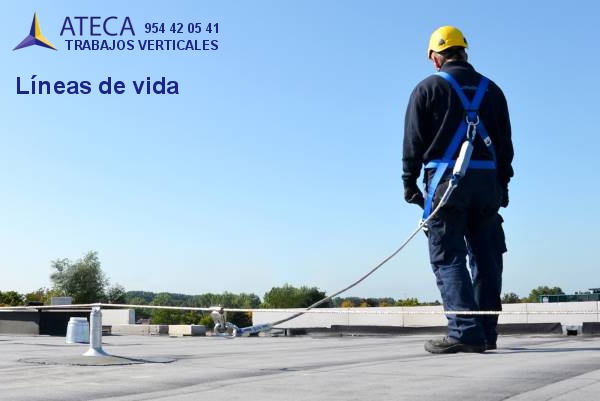 Lineas de vida en Sevilla - Ateca Trabajos Verticales